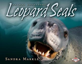 【预订】leopard seals