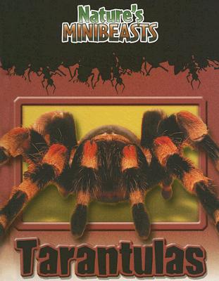 【预订】tarantulas