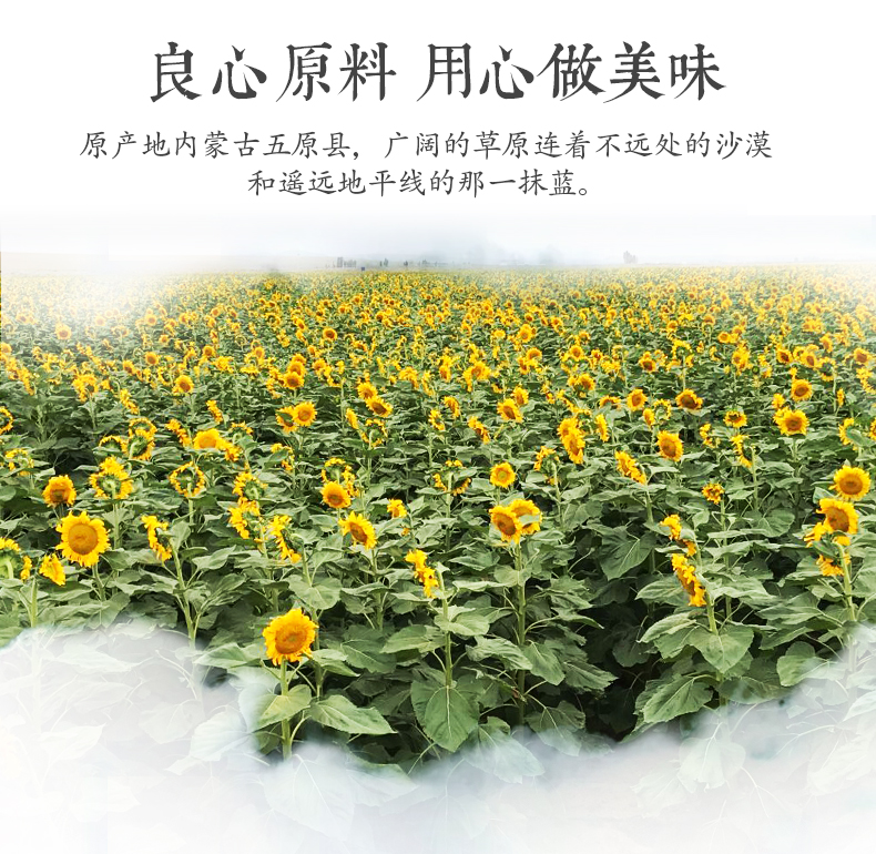 老街口 年货坚果炒货 葵花籽 焦糖/山核桃味瓜子500g*4袋休闲零食  每日坚果 焦糖2斤+山核桃味2斤