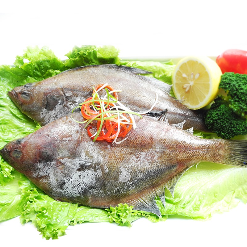 獐子岛 zoneco seafood 比目鱼 小嘴鱼 偏口鱼(家宴)450-480克/条450g