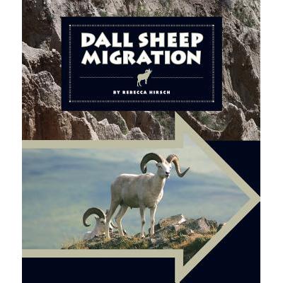 dall sheep migration