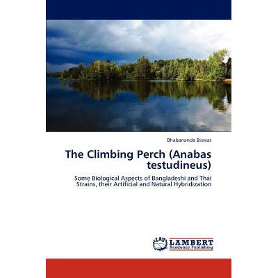 the climbing perch (anabas testudineus)