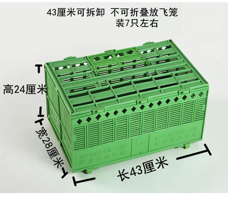 筱宠sa62信鸽赛鸽鸽子放飞训放笼训鸽笼折叠笼集鸽笼塑料放鸽笼 中号