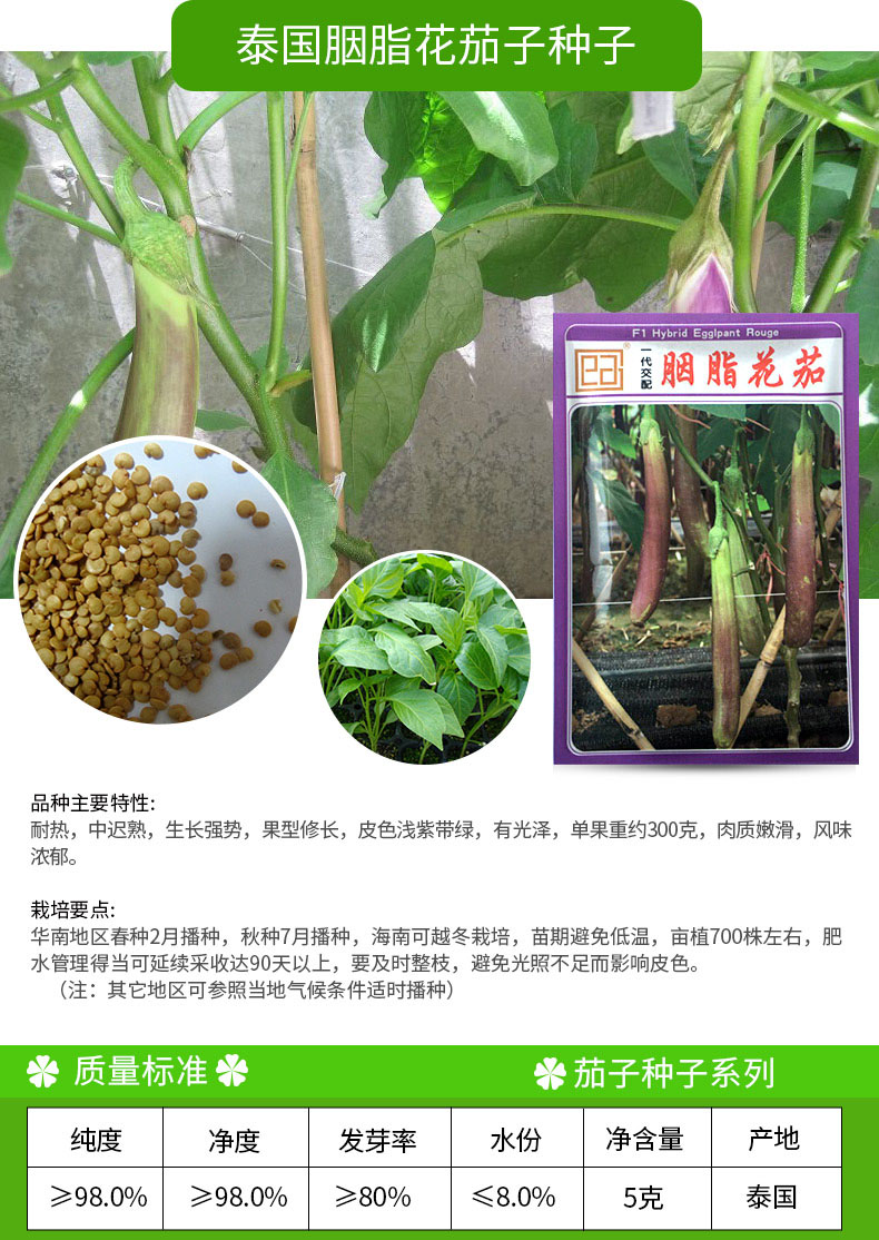 凤鸣雅世 种子花茄子种子 明月长茄种子 大竹丝茄子种子 新娘黑长茄