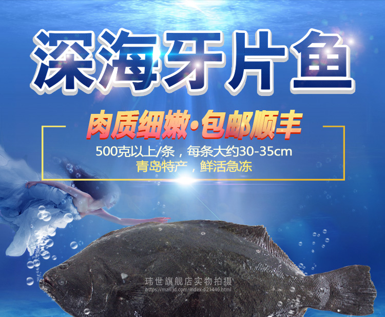 玮世 青岛活冻牙片鱼 500g 1条 深海比目鱼海鲜_ 7折现价78元