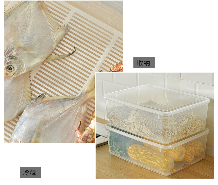 百露 冰箱冷冻冻肉冻虾肉类收纳盒塑料食物食品级饺子专用保鲜盒储肉盒 高款3个装