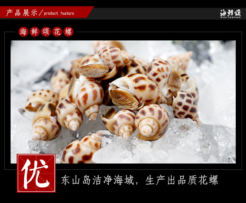 海鲜颂东山岛冷冻花螺东风螺南风螺500g
