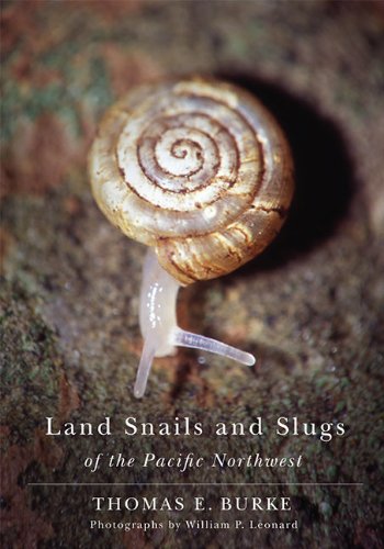 【预订】land snails and slugs of the pacific