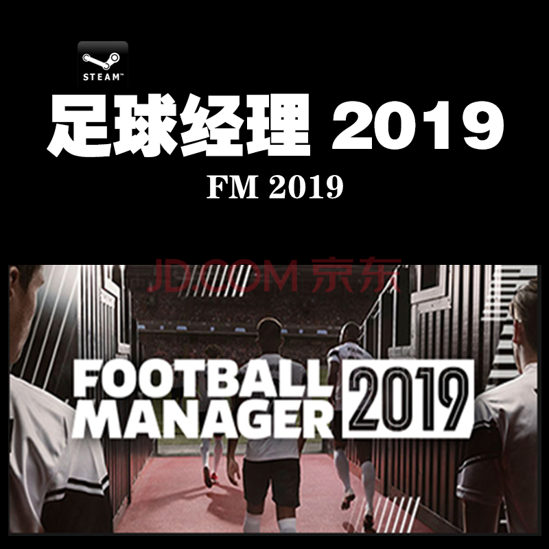 Pc中文正版steam Fm足球经理19 Football Manager 19 首发版简体中文 京东jd Com