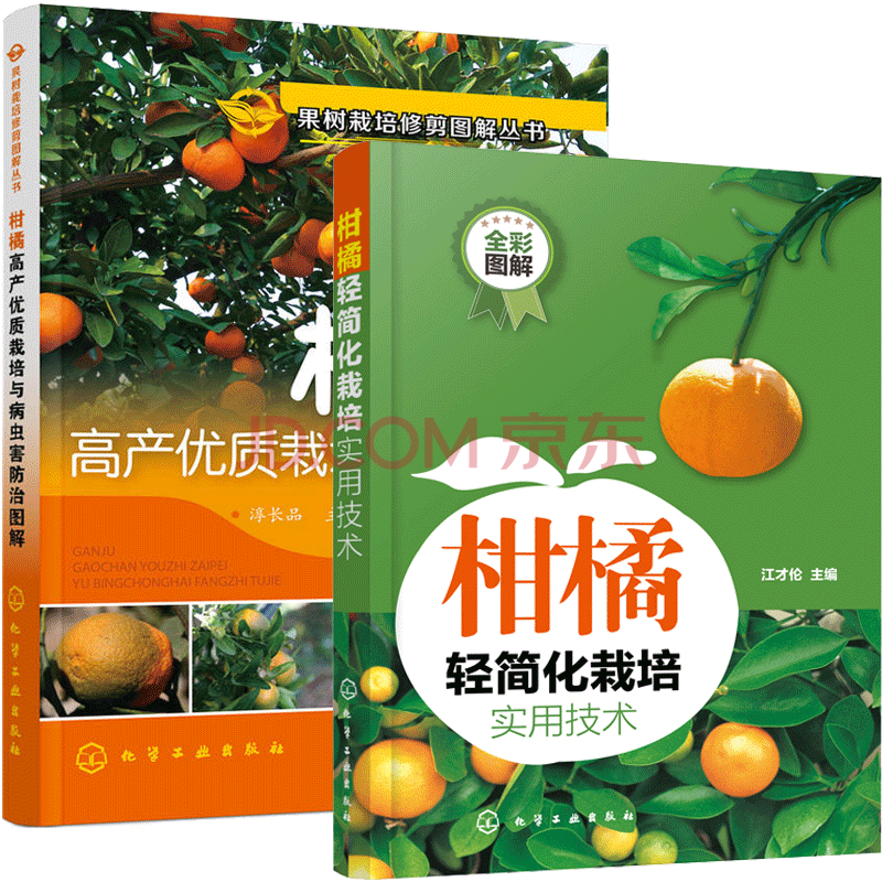 柑橘轻简化栽培实用技术 柑橘高产栽培与病虫害防治图解共2册书籍 摘要书评试读 京东图书 柑橘轻简化栽培实用技术 柑橘高产栽培与病虫害防治图解共2册书籍 摘要书评试读 京东图书