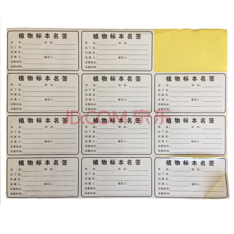 9 5x5 5不干胶植物标本标签台纸名签采集签植物定名签鉴定签 图片价格品牌报价 京东