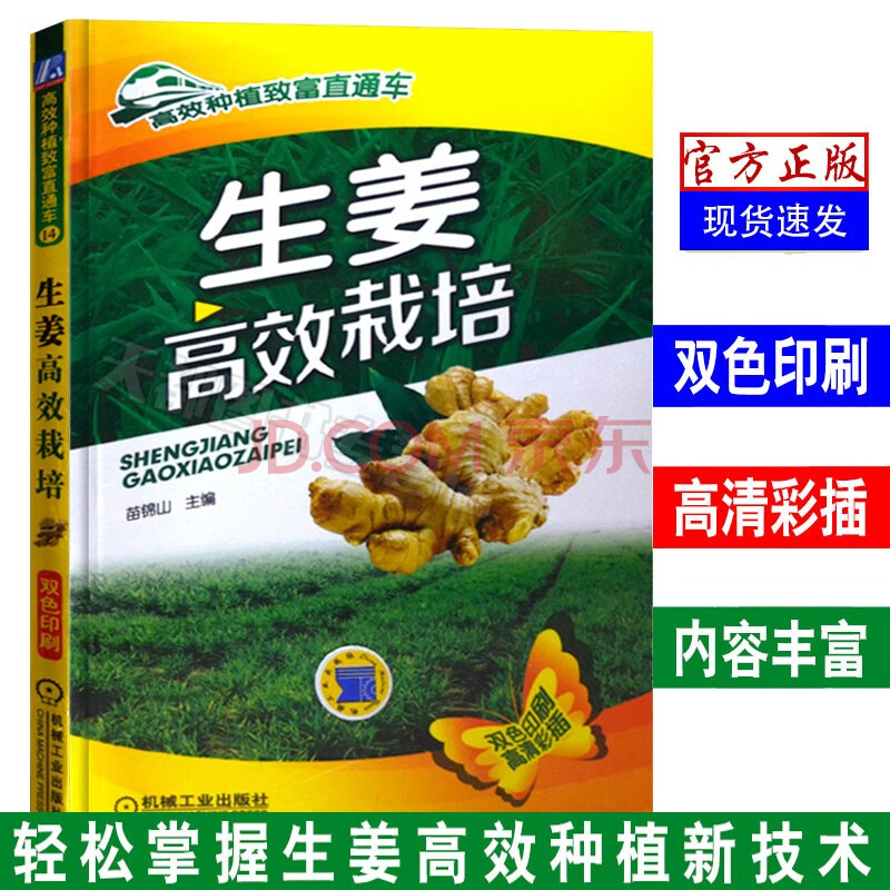 生姜高效栽培生姜种植技术书籍生姜栽培有机生姜栽培技术生姜主要病虫草害诊断与防治技术书籍 摘要书评试读 京东图书