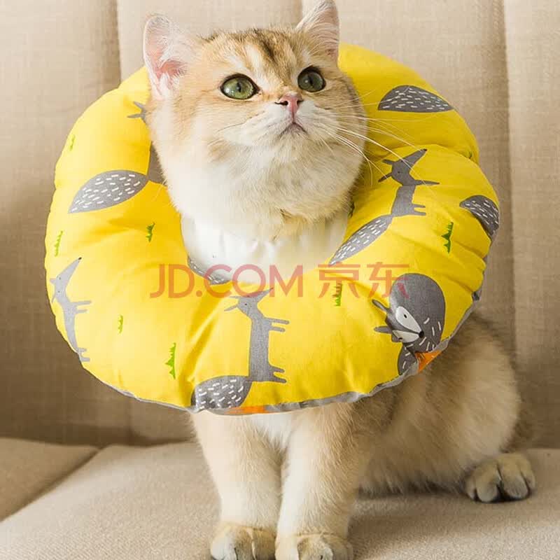 神经猫伊丽莎白圈s 神经猫伊丽莎白圈宠物猫咪头套防舔咬狗狗耻辱项圈伊利沙白脖圈绝育用品s 行情报价价格评测 京东