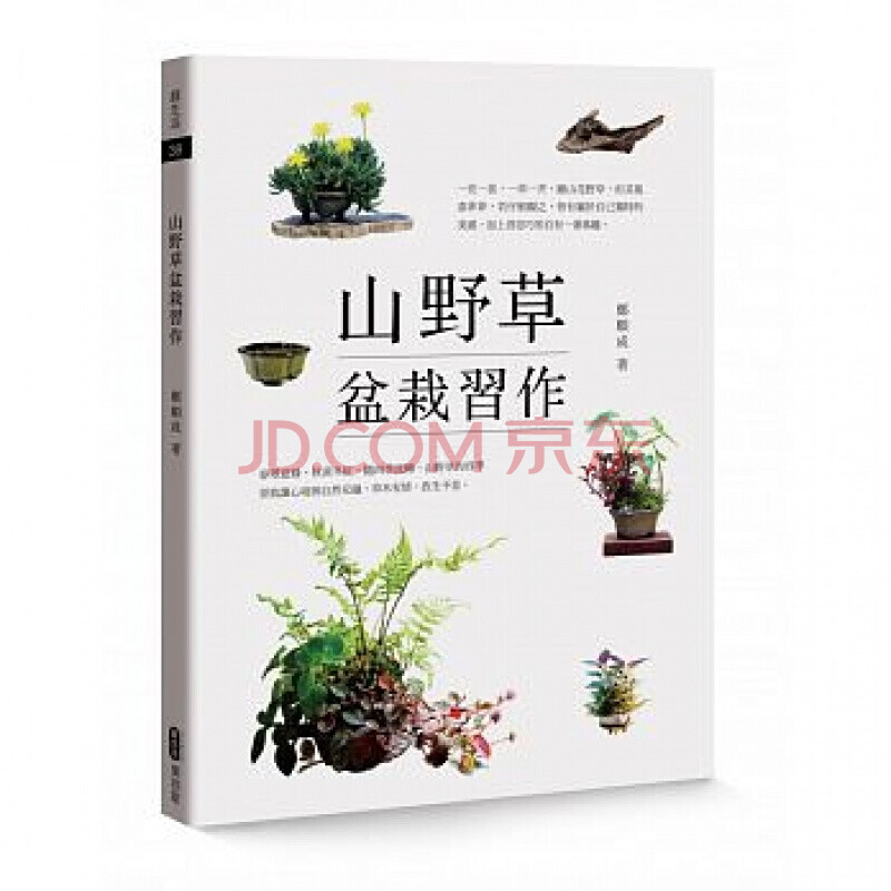 预订台版山野草盆栽习作绿生活38 生活百科盆栽养殖花艺植物种植 摘要书评试读 京东图书