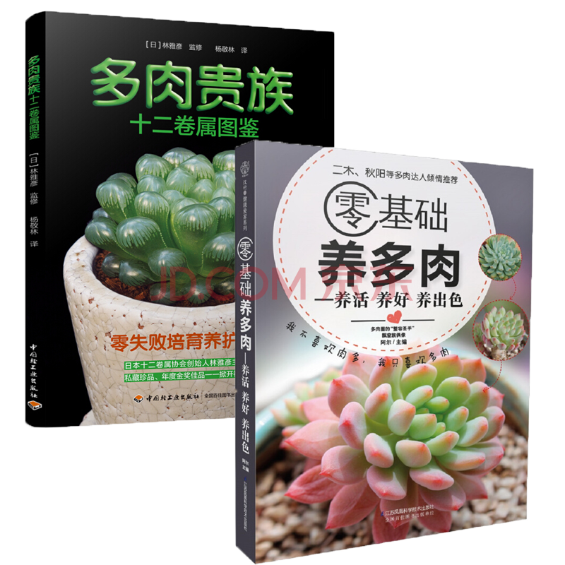 2册零基础养多肉 多肉贵族十二卷属图鉴多肉植物养护繁殖方法家庭园艺书籍 摘要书评试读 京东图书