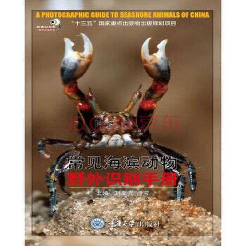 常见海滨动物野外识别手册 摘要书评试读 京东图书