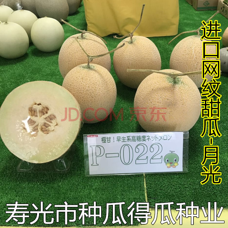日本进口网纹甜瓜种子香甜蜜西瓜羊角蜜种籽水果春季蔬菜种籽孑网蜜甜瓜 月光5粒 图片价格品牌报价 京东