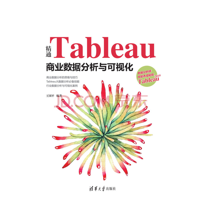 精通tableau商业数据分析与可视化 王国平 电子书下载 在线阅读 内容简介 评论 京东电子书频道