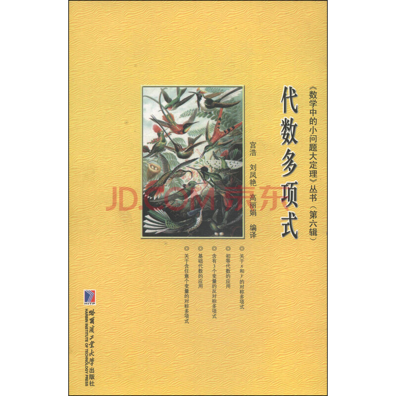 数学中的小问题大定理 丛书 第6辑 代数多项式 摘要书评试读 京东图书