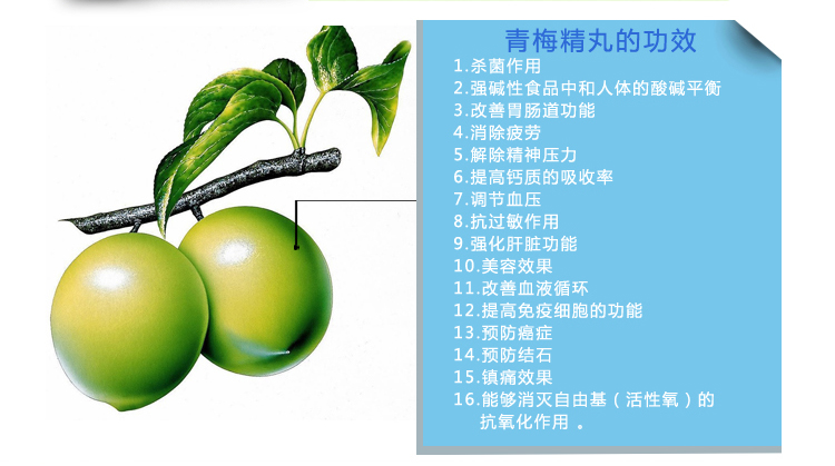 冠品园青梅丸青梅精梅子果干肉汁杨炼梅锭口服西话休闲零食手工艺建议