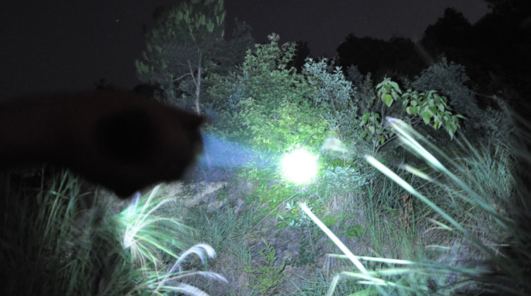 亚马逊应急灯照明LED强光手电筒充电远射防水家用消防手电 A9