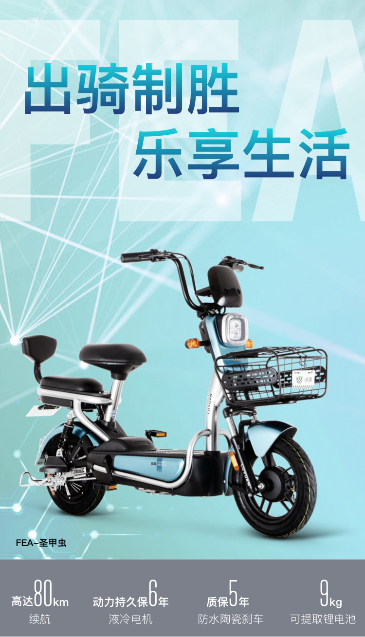 绿源新国标电动自行车48v20ah锂电池可提电动车  fea(tdt2007z) 高哑