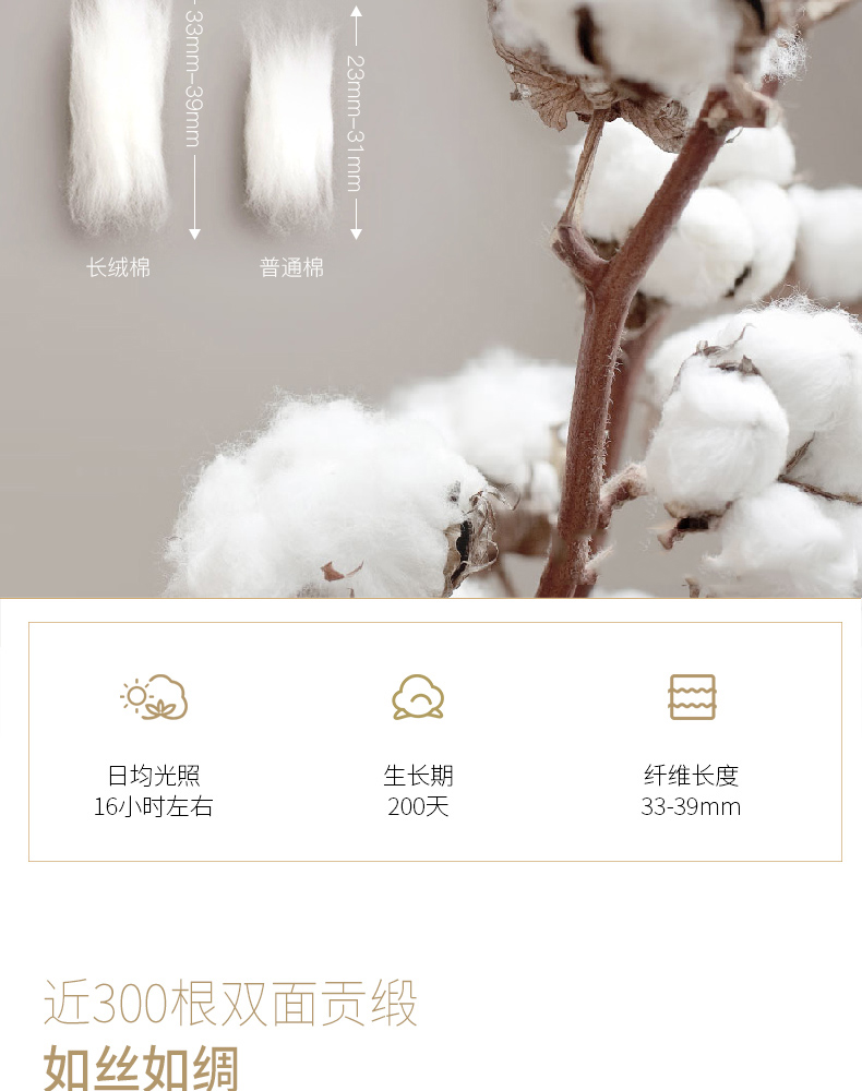 洛克特详情页优化05.jpg