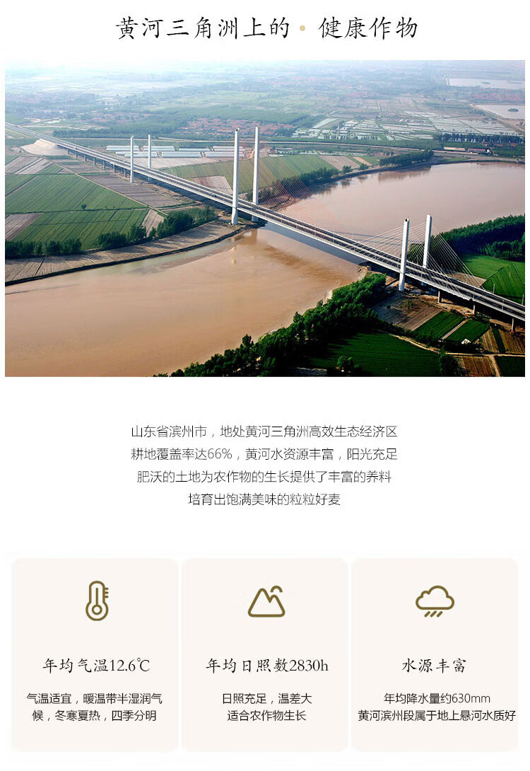 精制小麦粉_05.jpg