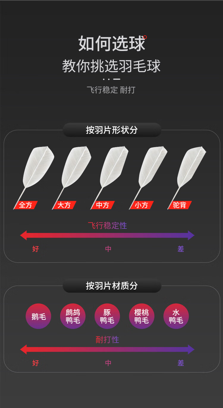 https://www.toonies.cn3-750_11.jpg