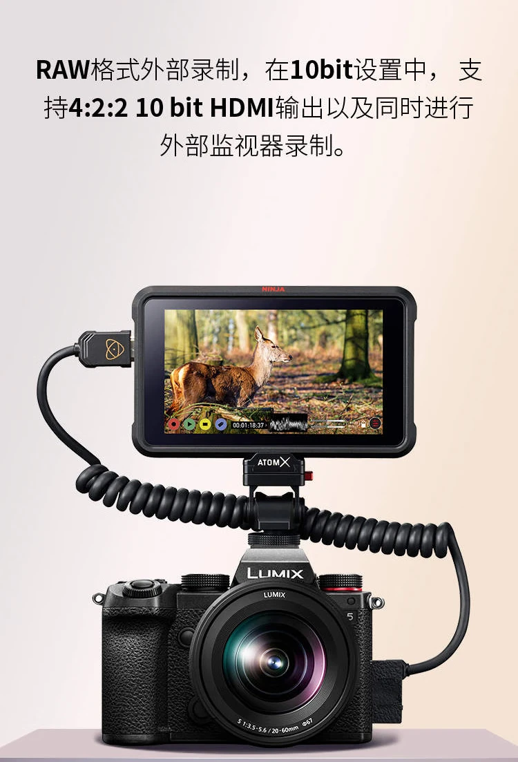 Panasonic Panasonic S5 full-frame mirrorless/single battery/mirrorless digital camera L-mount dual native ISO S5 single body Panasonic Panasonic S5 full-frame mirrorless/single battery/mirrorless digital camera L-mount dual native ISO S5 single body