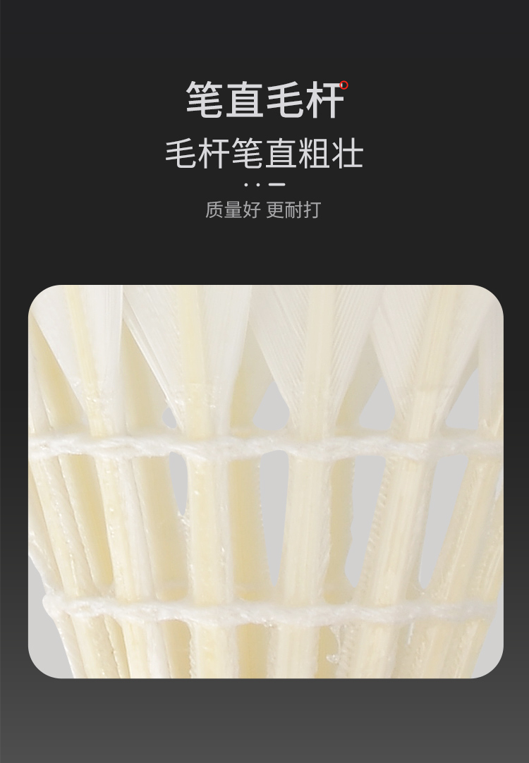 亚狮龙详情-750_09.jpg