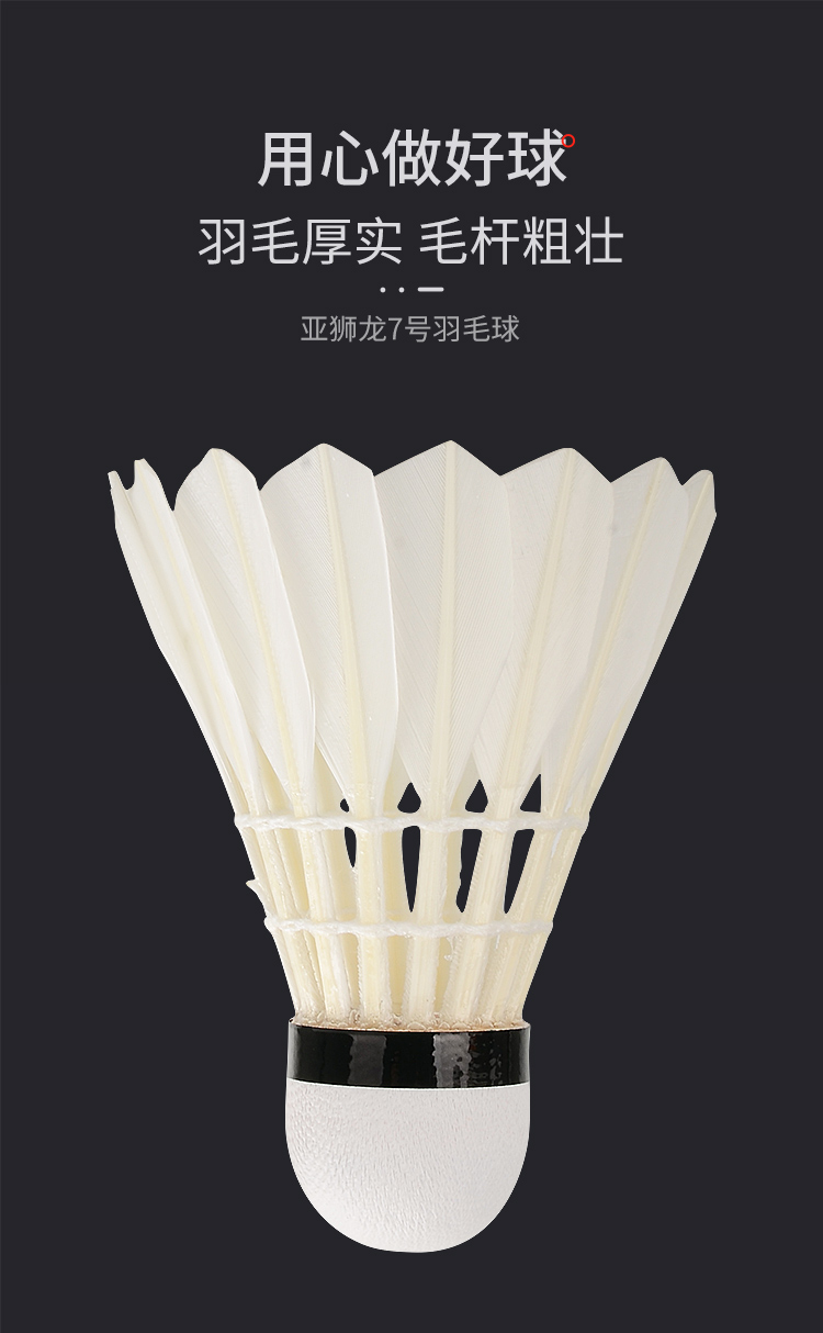 亚狮龙详情-750_04.jpg