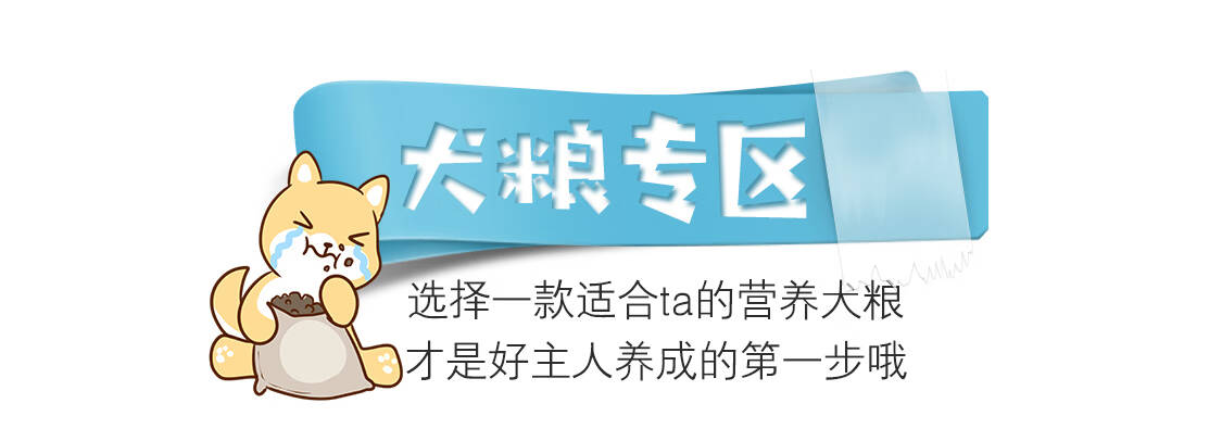 平价好用的必需品