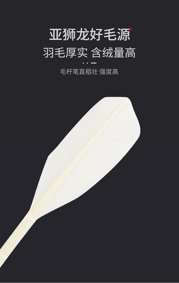 亚狮龙详情-750_02.jpg