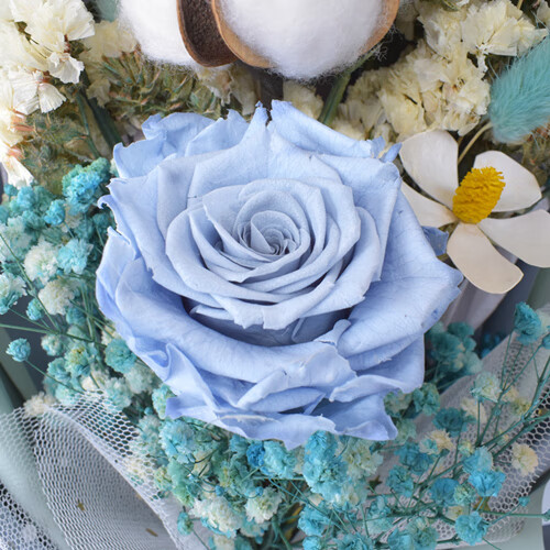 queenflora 玫瑰永生花花束礼盒粉色蓝色勿忘我大束表白干花真花生日