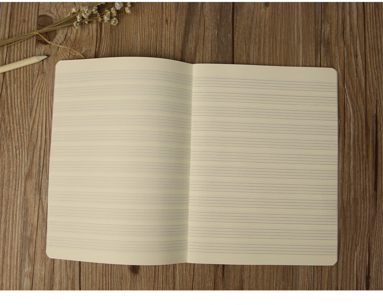 双线本5本【图片 价格 品牌 报价】-京东