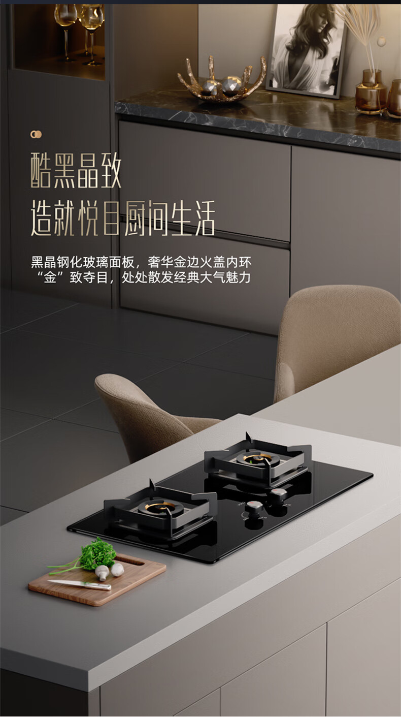 华帝燃气灶i10073B_18.jpg