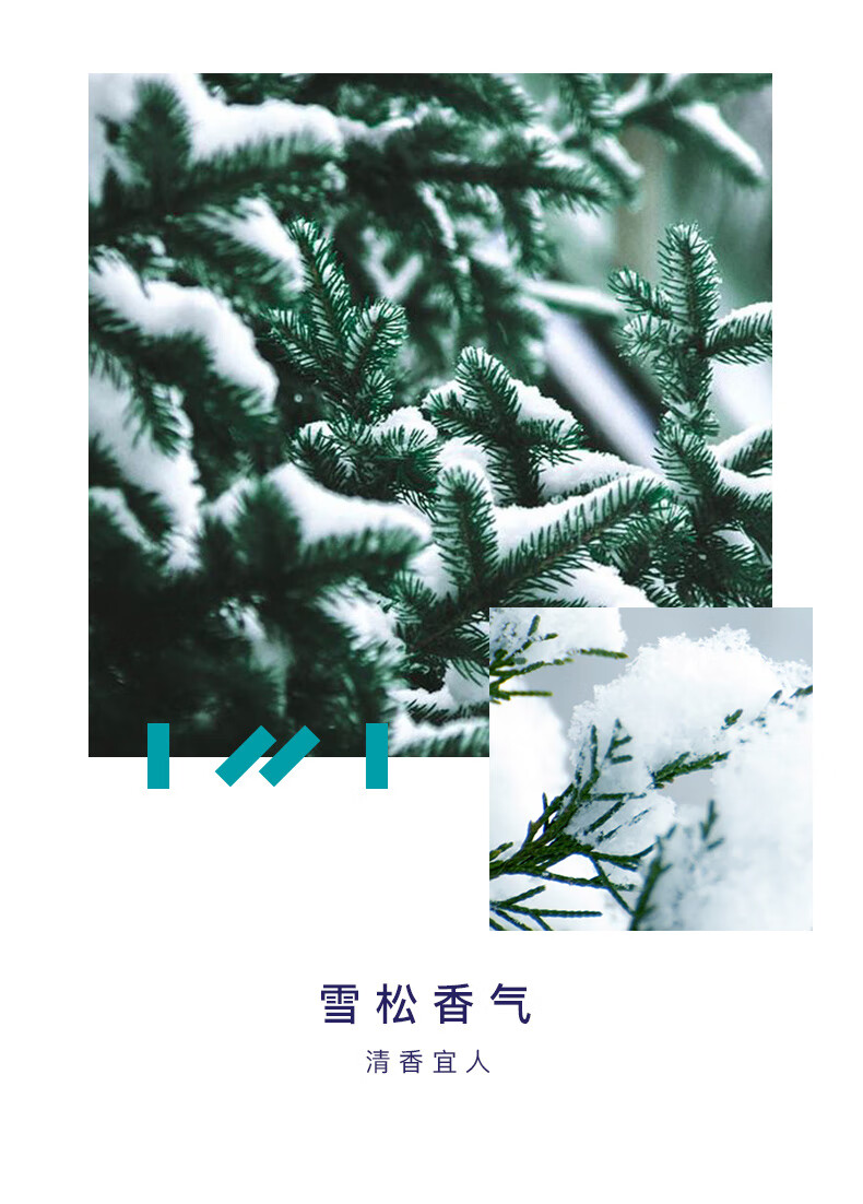 2019-去屑洗护套装-500ml_10.jpg