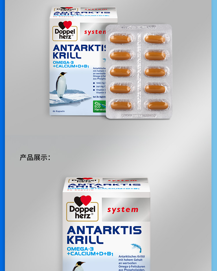 南极磷虾_13.jpg