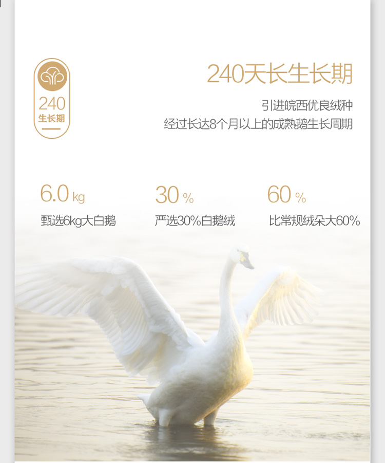 枕芯_09.jpg