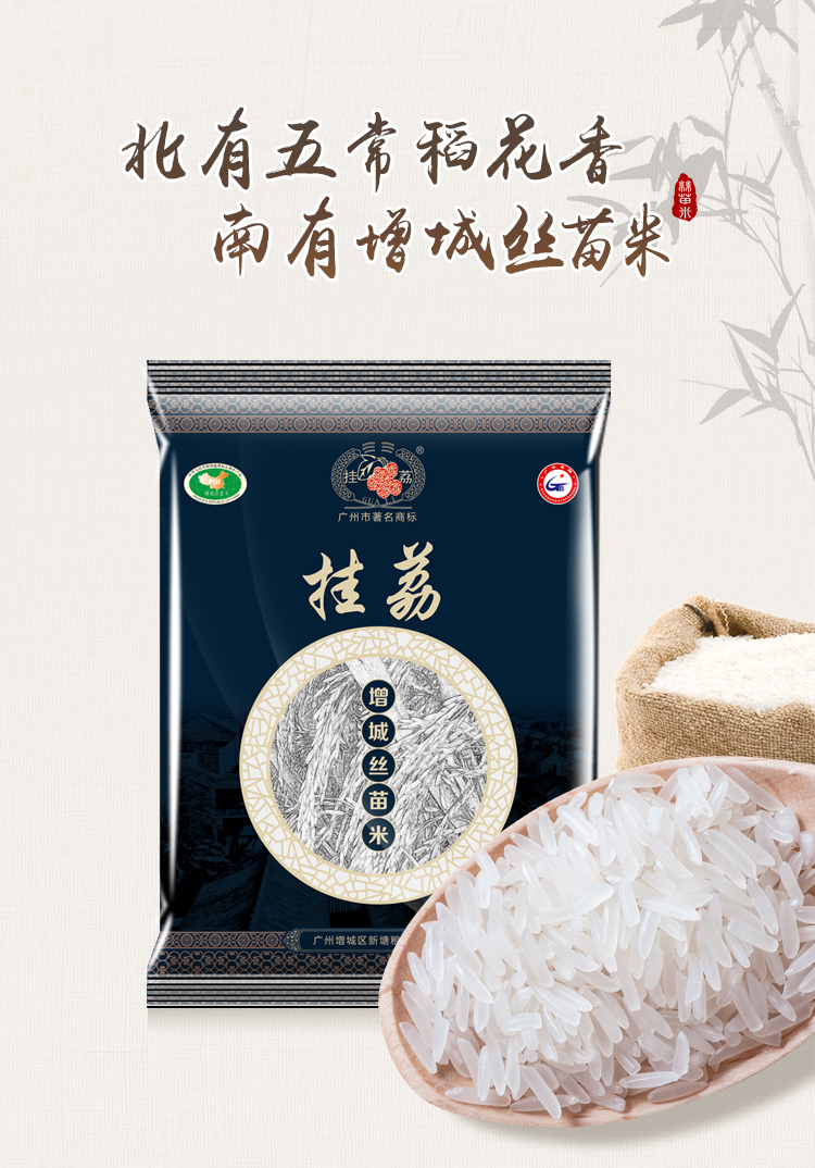 挂荔 丝苗米产品长粒米南方大米 500g