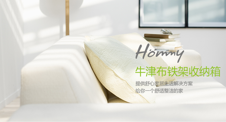 
                                        
                                                            Hommy 收纳箱 防尘防水加厚牛津布布艺牛津布 百纳整理箱  2件装(1大1中)                