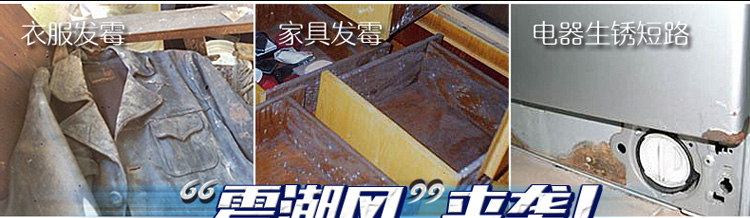 
                                        
                                                            绿驰衣柜衣服可挂式除湿袋 特惠5袋装干燥剂防潮剂 室内房间吸潮桶抽吸湿盒器防霉包（限量）                