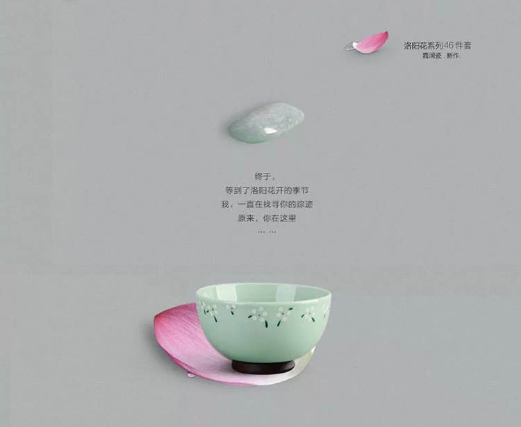 
                                        
                                        亿嘉IJARL 创意陶瓷46头韩式时尚餐具套装 洛阳花                