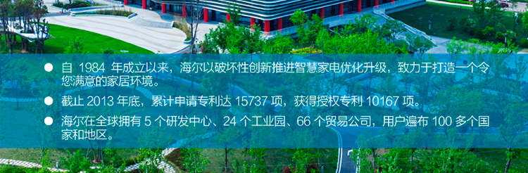 
                                                            海尔（Haier）4.1KW鸳鸯火 钢化玻璃嵌入式燃气灶（天然气）JZT-QE3B(12T)                
