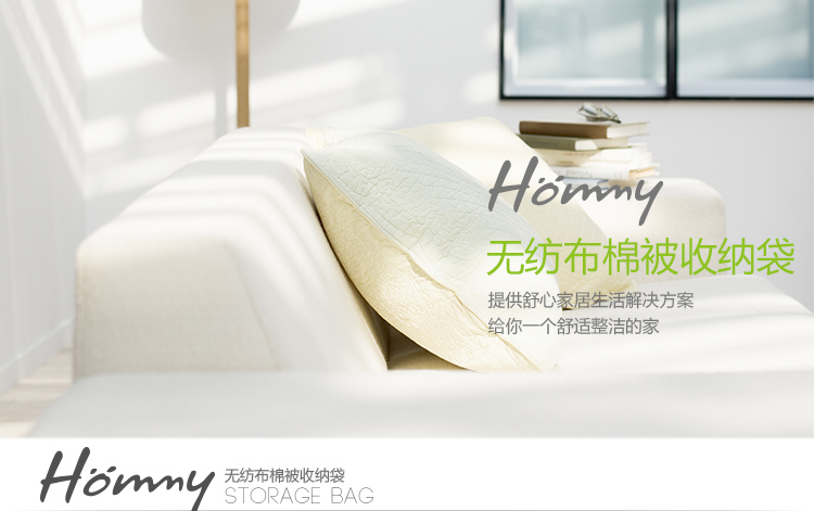 
                                        【京东超市】Hommy 收纳无纺布收纳袋组合4件套(2大2中)                
