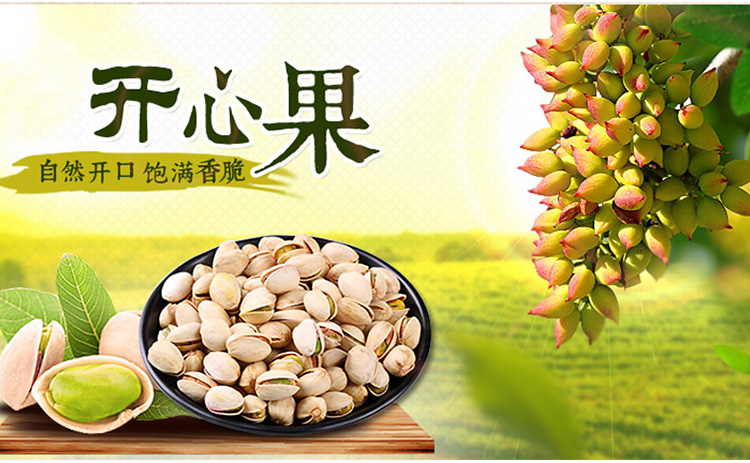 百草味 坚果炒货 干果零食 开心果100g/袋 京东专供