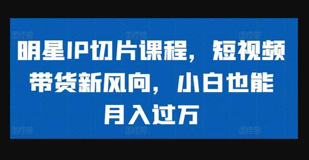 明星IP切片课程，短视频带货新风向，小白也能月入过万-666资源网