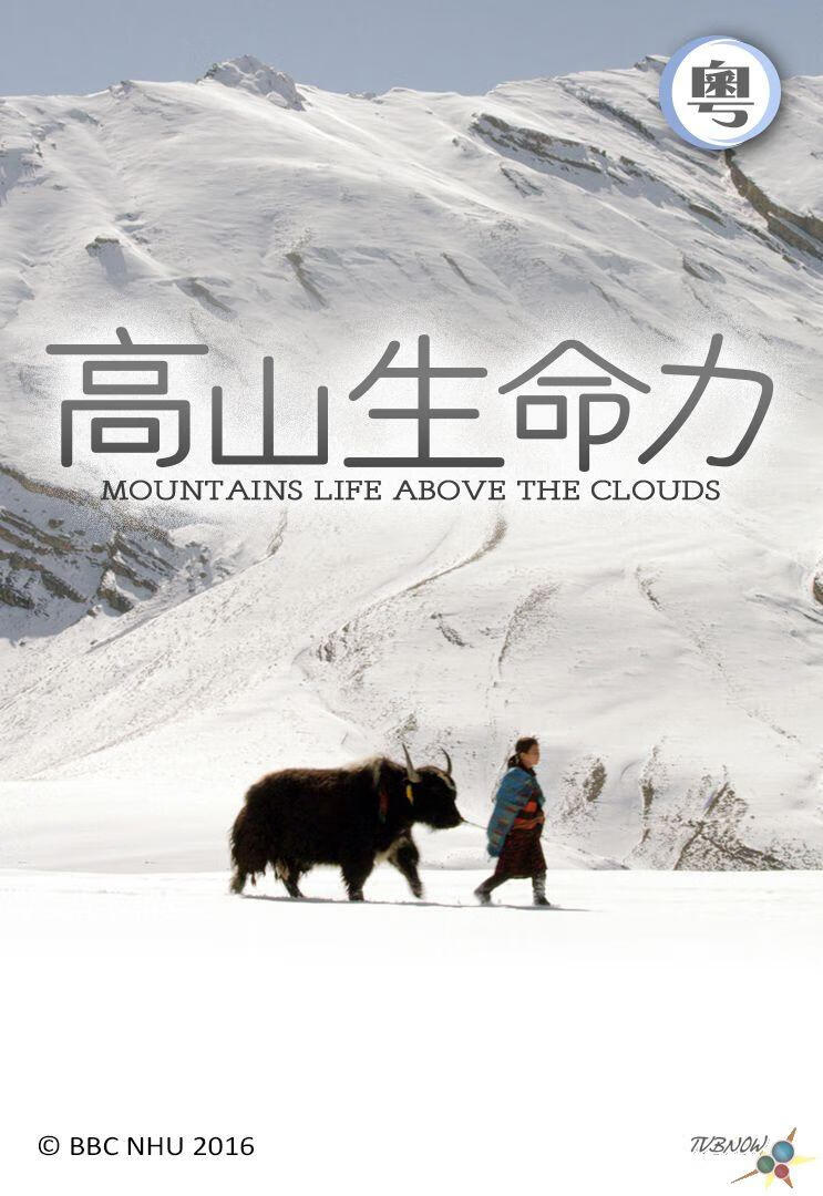 高山生命力