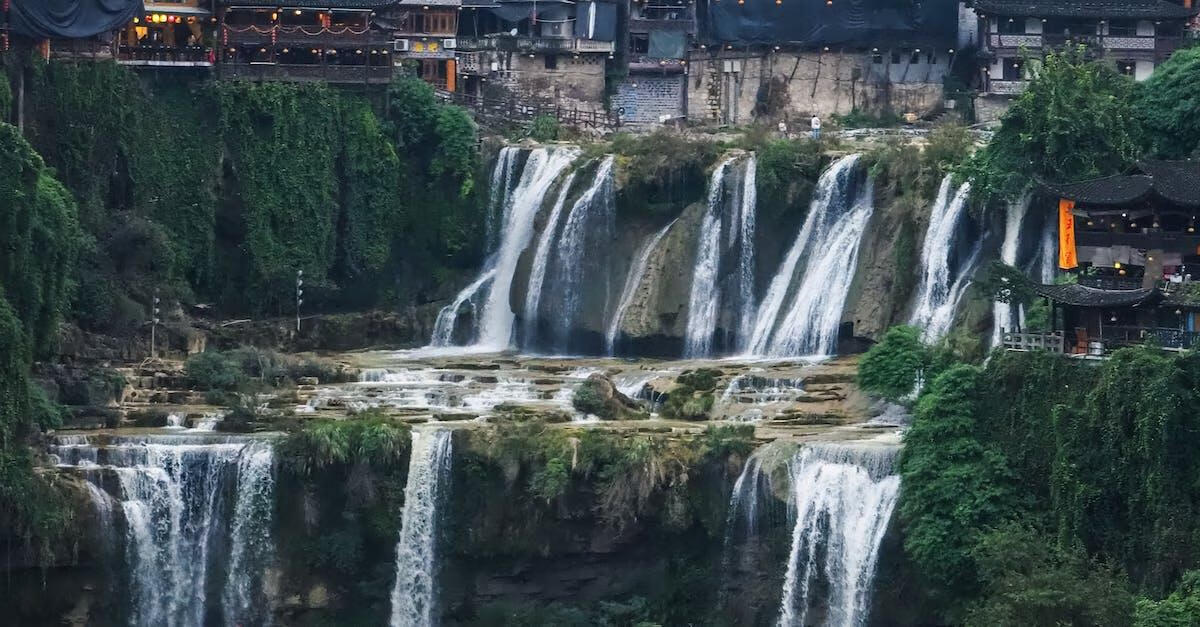 ä»€ä¹ˆæ ‘æ˜¯æœ€å¥½çš„é•‡å®…æ ‘ï¼Ÿ æ¡‘æŸ³æ¦†æ�¨æ§�,ä¸�è¿›é˜´é˜³å®…ã€‚